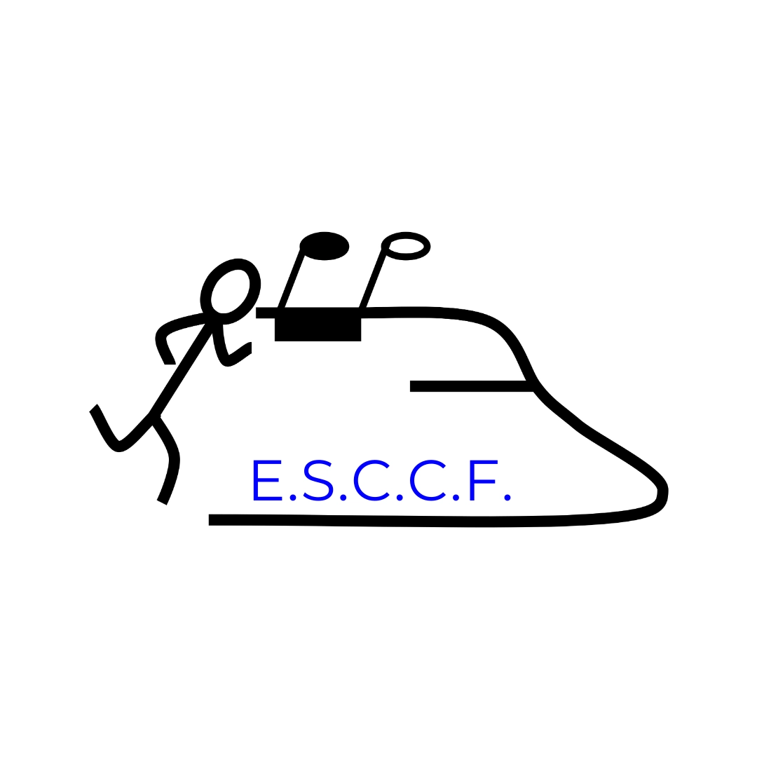 Besançon - ESCCF
