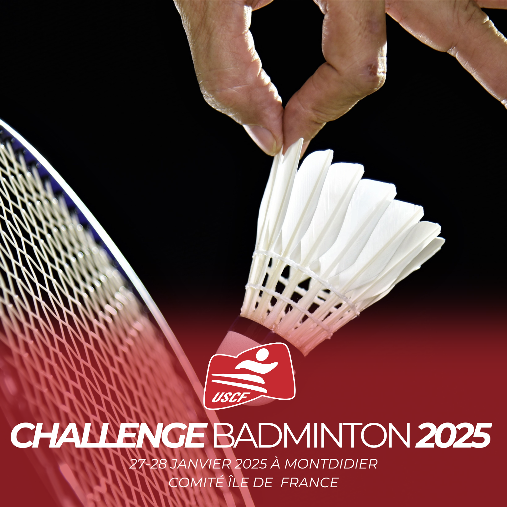 Retour sur le Challenge Badminton du Comité Île-de-France